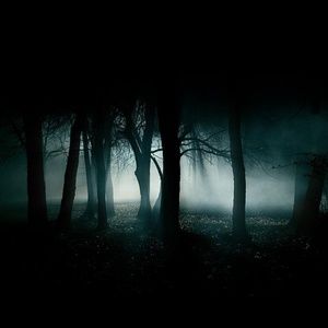 Meet your Posher, Greta